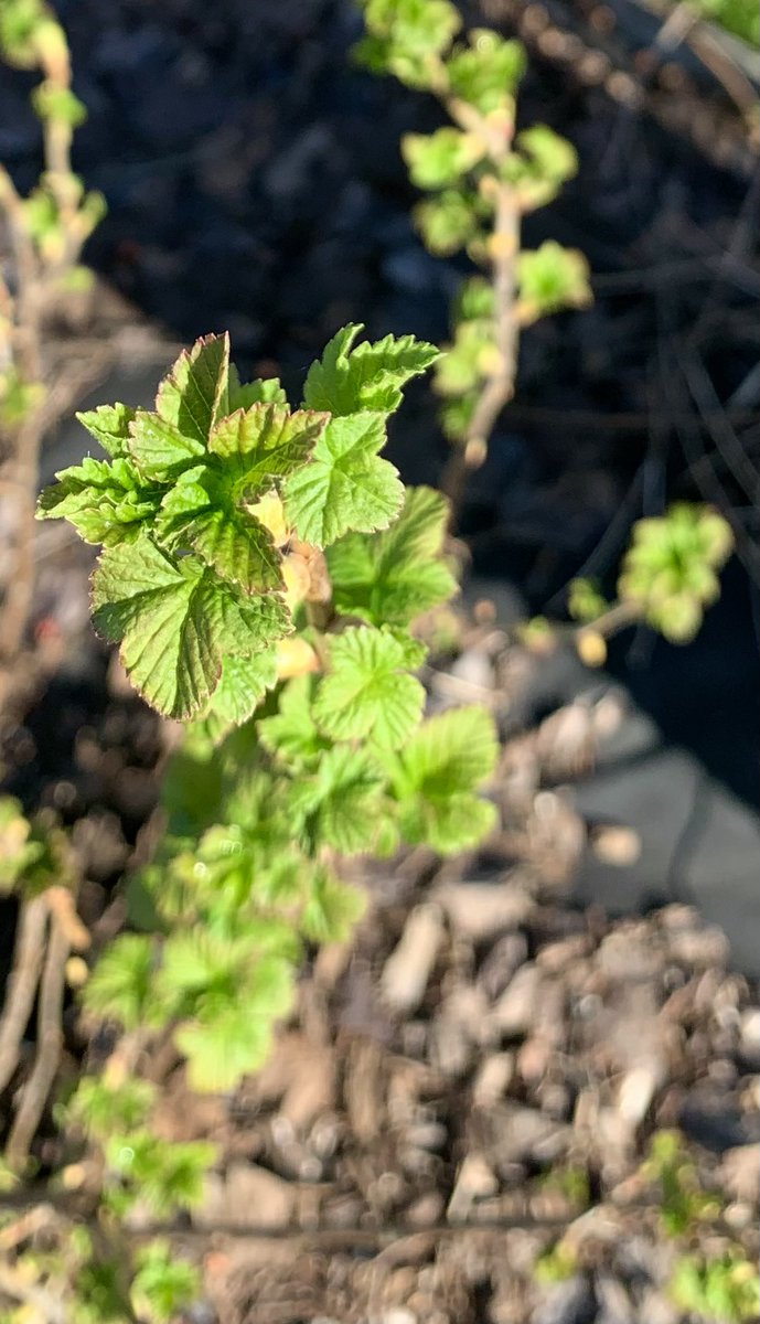 Инга tweet media