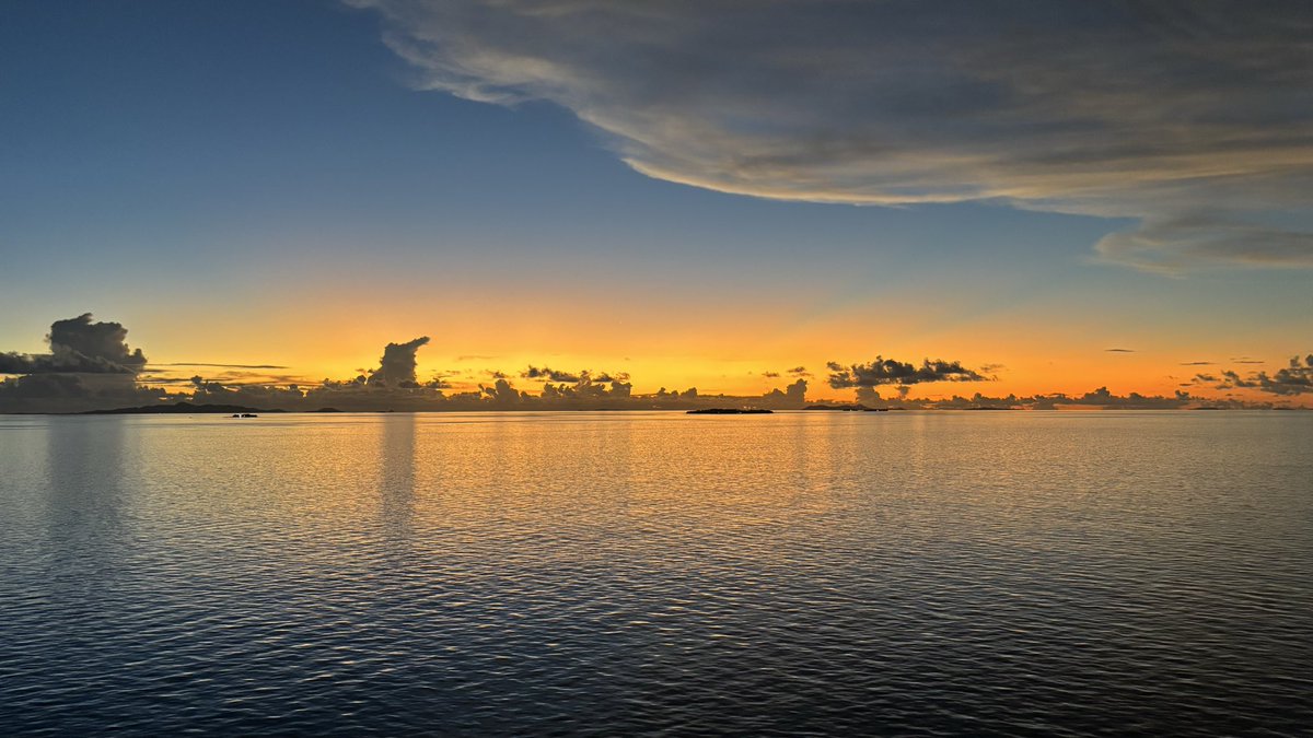 Boogie𝕏 tweet media