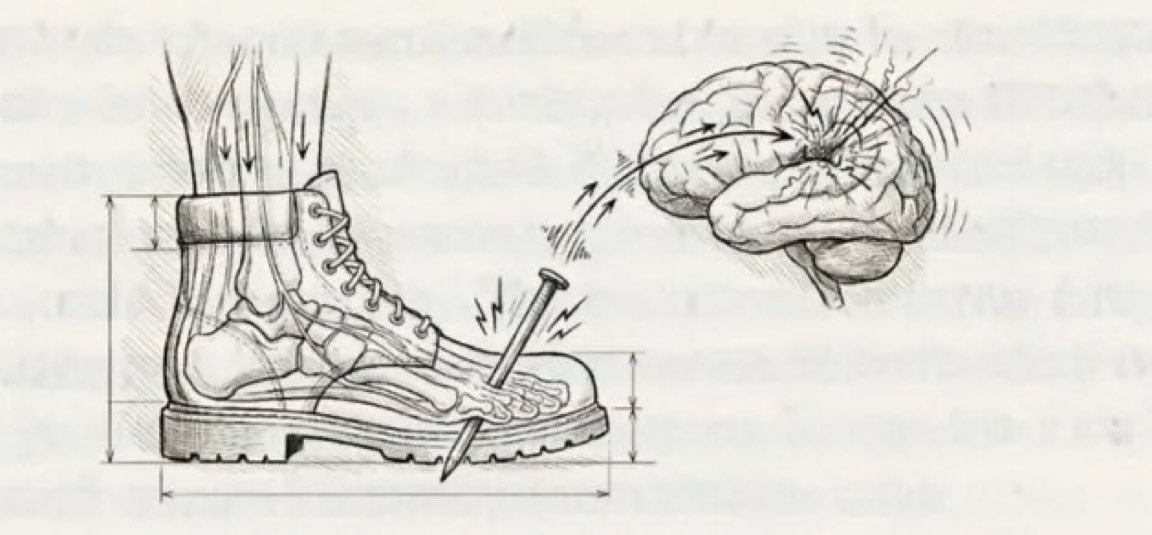 Felsefe Parrhesia tweet media