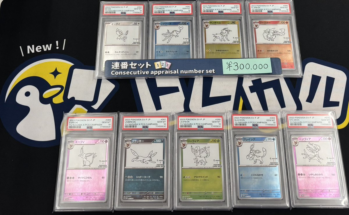 トレカル PSA10 連番入荷情報✨ NAGABAブイズの9連番が入荷してます