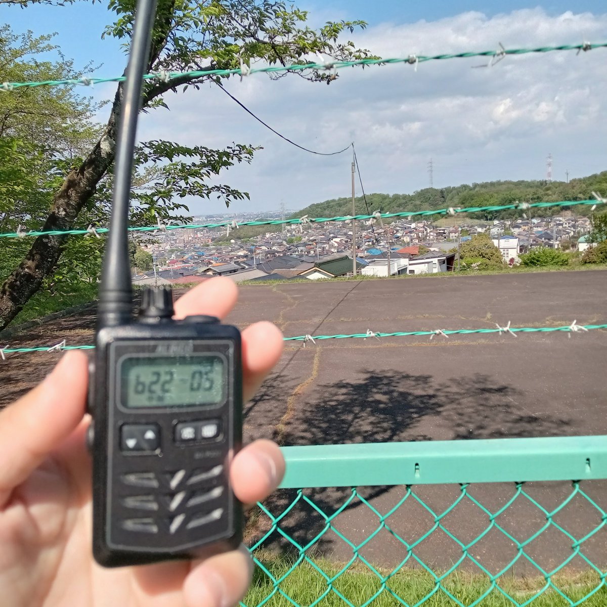 ｺｼｺｼ😁ﾄｳｷｮｳHN81 tweet media