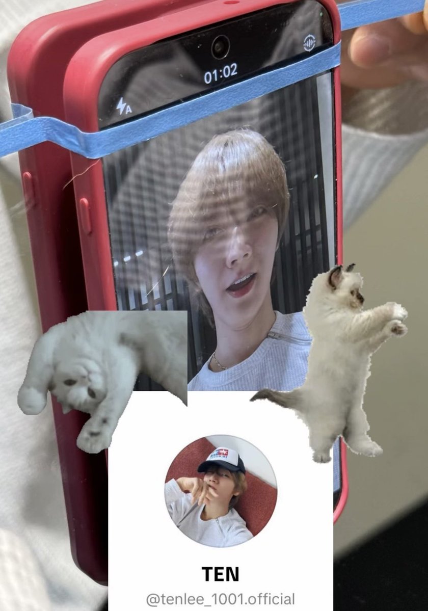 𖹭¹⁴²⁷ tweet media