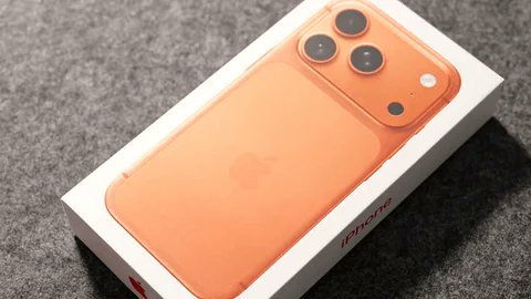 The Page Z tweet media