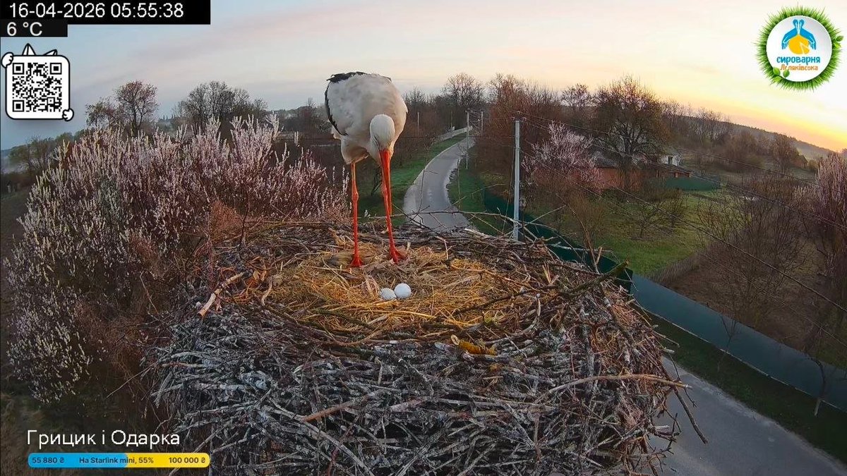 ЗМІСТ tweet media