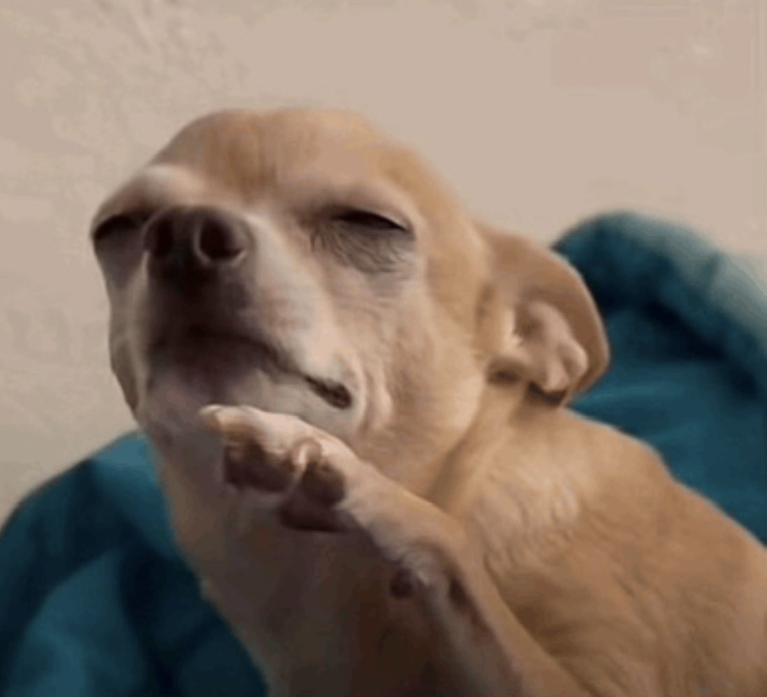 Чарльз Мваура tweet media