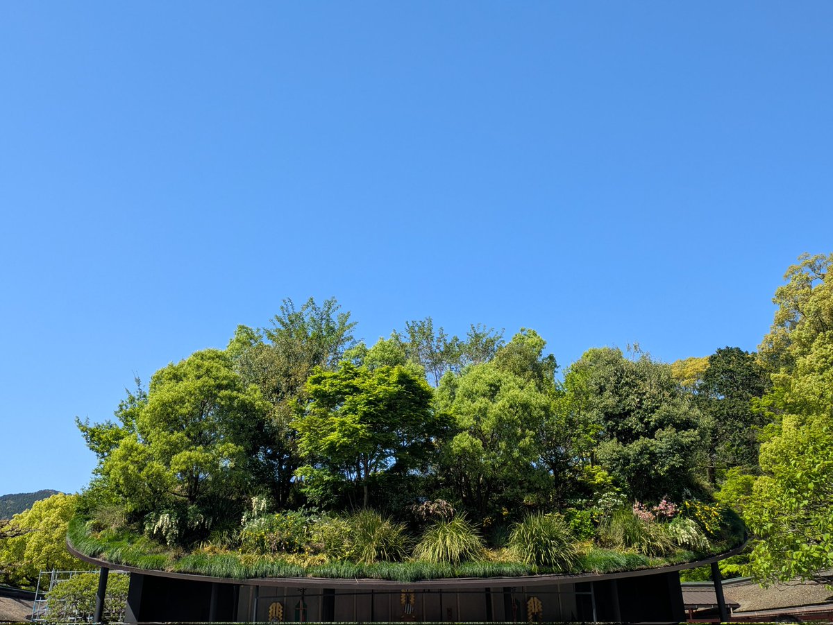 85wszy's tweet photo. とても、青 https://t.co/nRwc6zVIHx