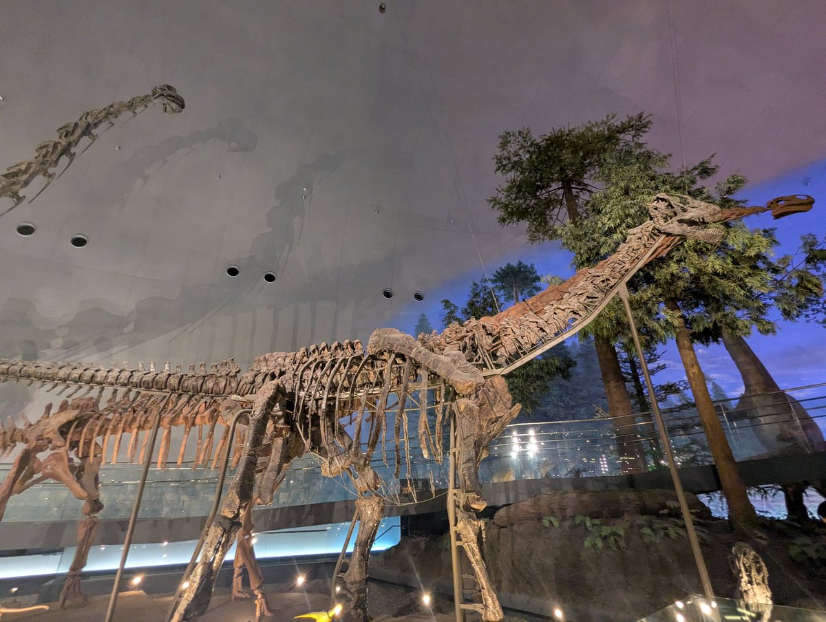 さとし工房 tweet media