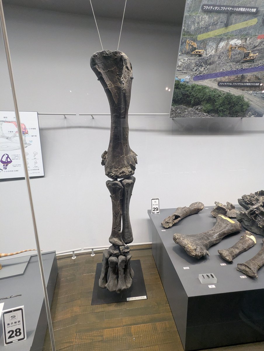 さとし工房 tweet media