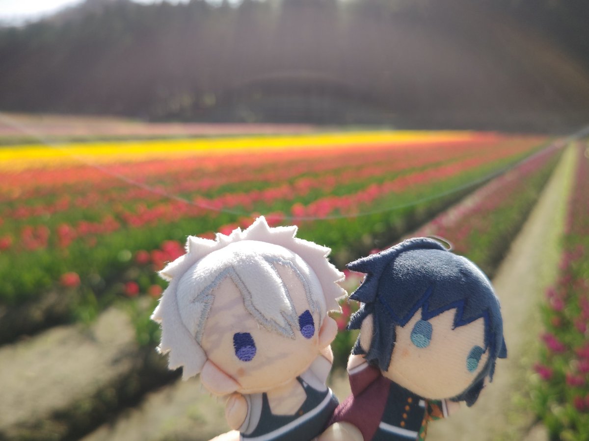 🌷見てきた
🐶連れの方もたくさんいていろんな🐶も見れてよかった