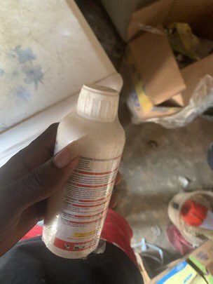 𝑭𝒓𝒆𝒅🦇 tweet media