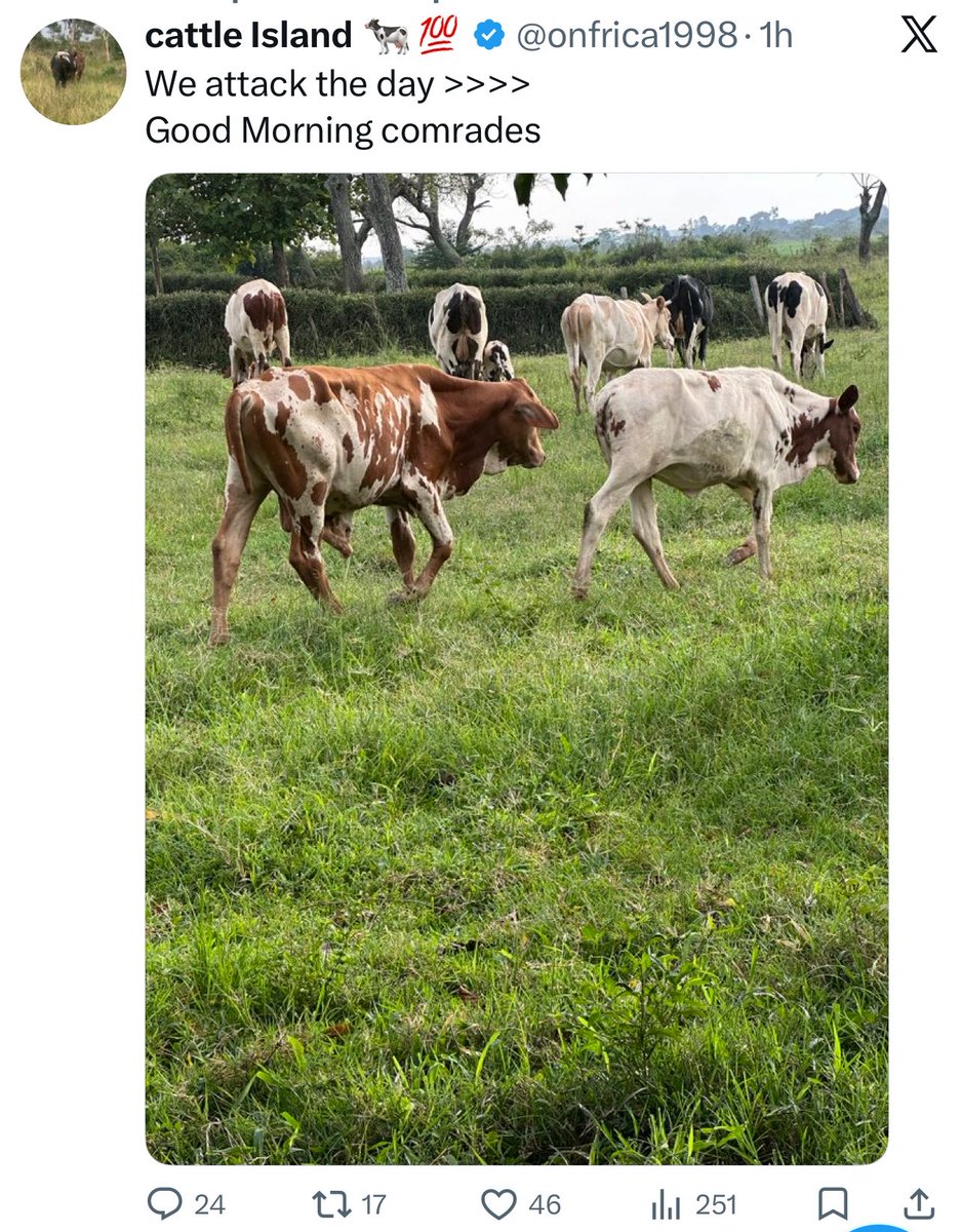 ISHMAEL. tweet media