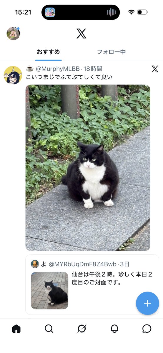 すけさん tweet media