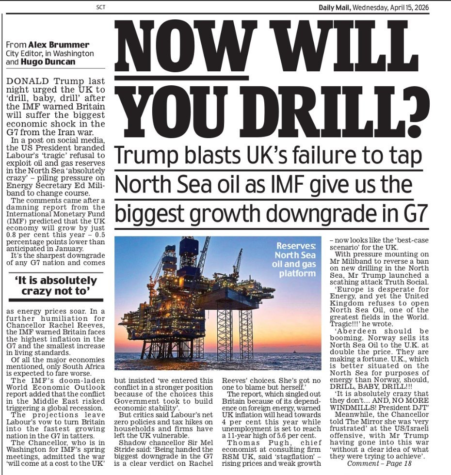 Candice Holmes tweet media