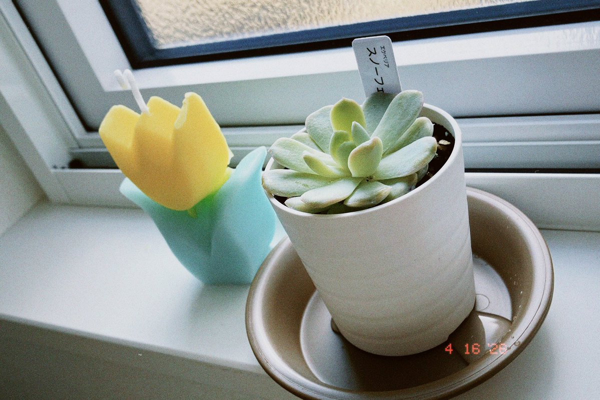 こがチャン☁️ tweet media