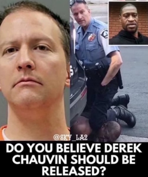 Shadow🩶 Vibes🇺🇲 tweet media