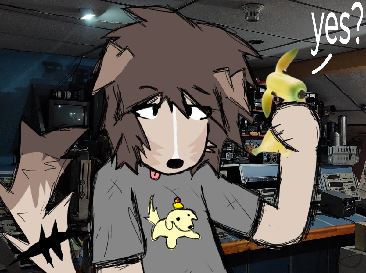 chantall tweet media