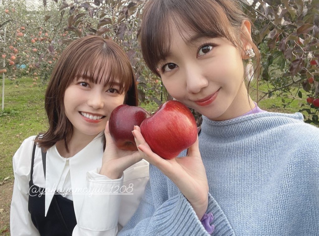 大阪のお父さん tweet media