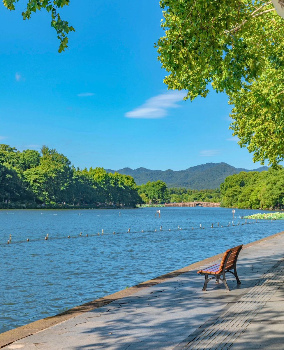 Renee Moore tweet media