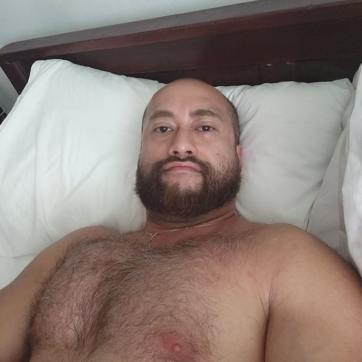 ronwolcx tweet media