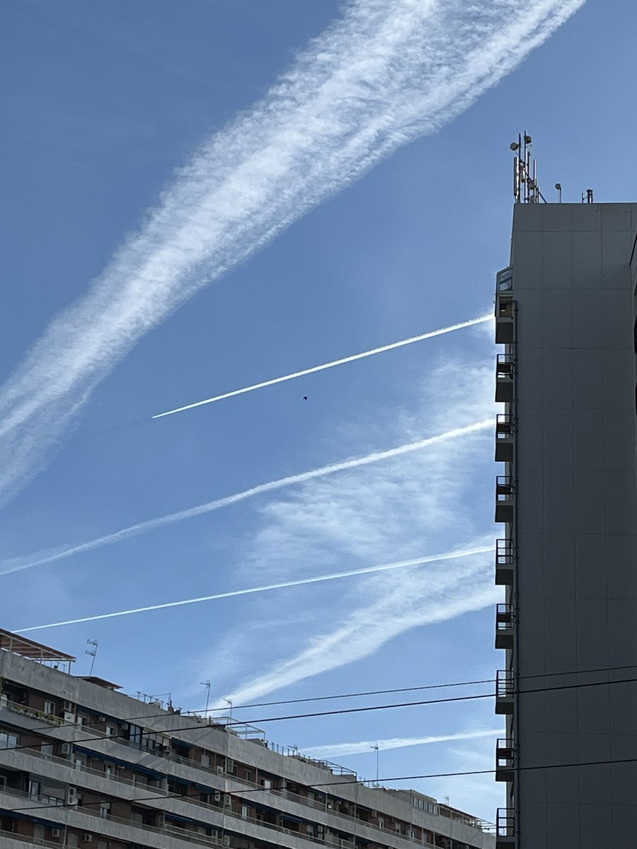 Javier Sánchez Menéndez tweet media