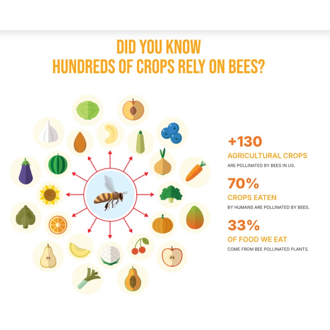 Have you ever heard of neonicotinoids?
Great!They are pesticides absorbed and transported by the plant literally!and to the pollen and nectar they settle.This means that no safe not just fruits but also coffee🤯😳 pages.greenpeaceafrica.org/ban-toxic-pest… #FoodorPoison #BadforEuropeBadforAfrica