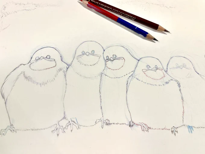 線画制作中… 色鉛筆の線画…ダヨぅ