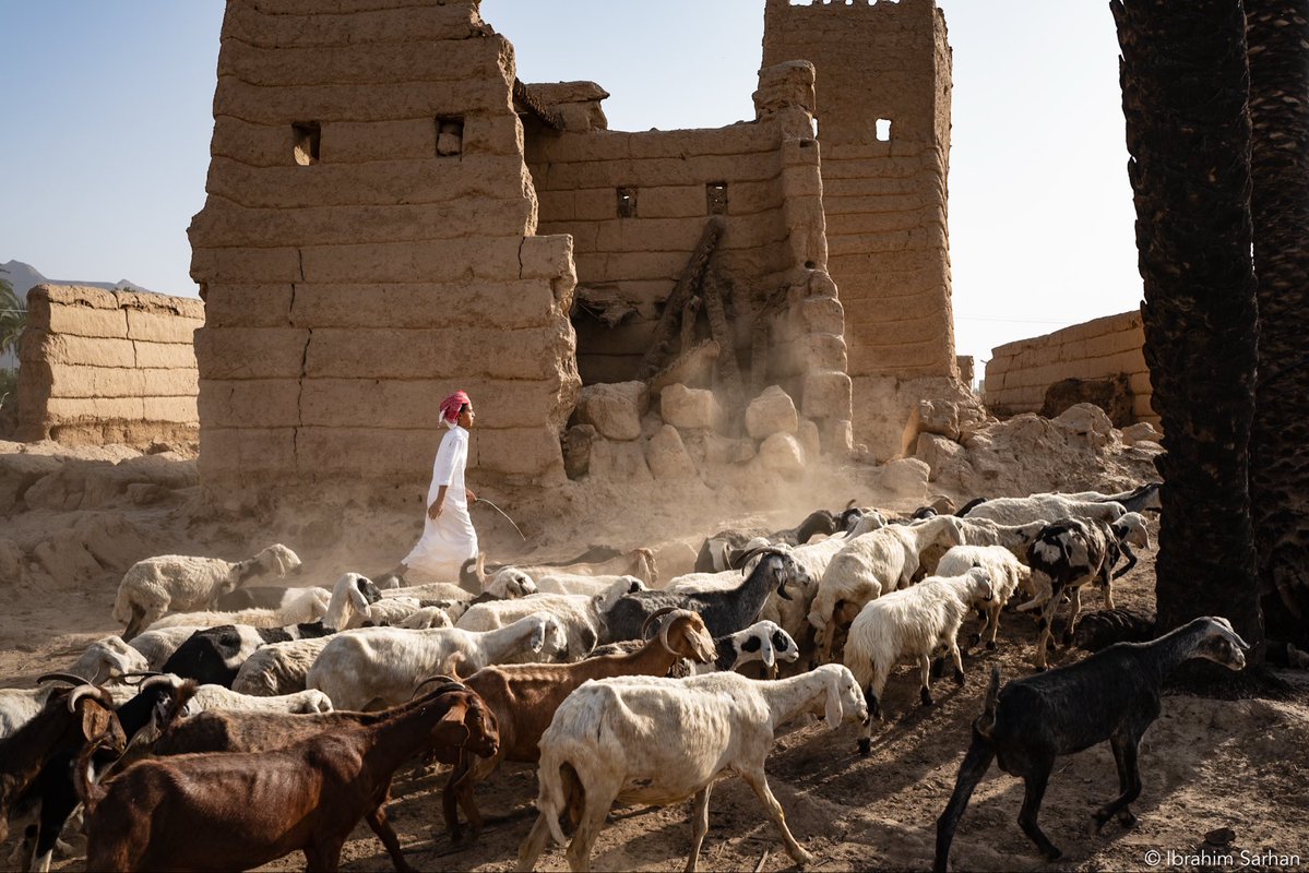 إبراهيم سرحان | Ibrahim Sarhan tweet media