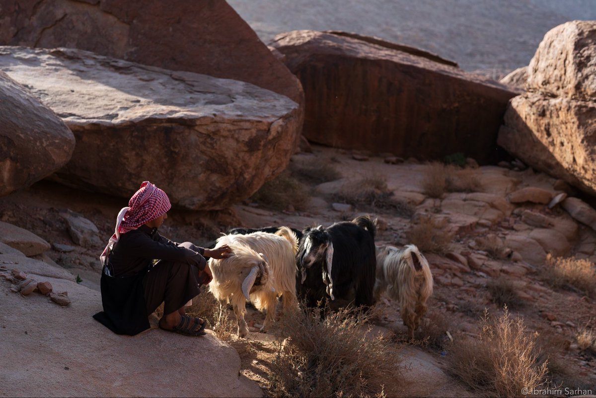 إبراهيم سرحان | Ibrahim Sarhan tweet media