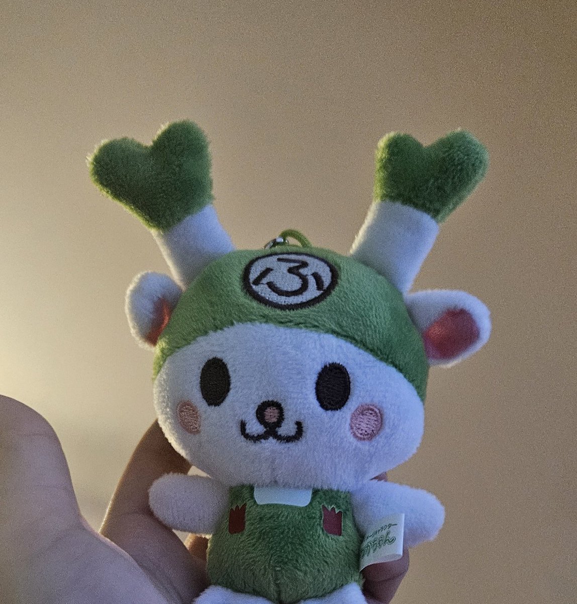 ぽめち tweet media