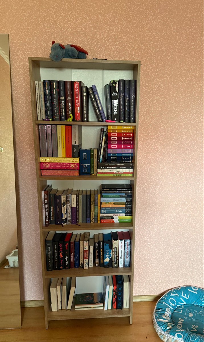 voronyatko's tweet photo. з плюсів: я прочитала тут все, крім найнижчої полиці, вона в роботі
з мінусів: мені скоро знадобиться друга книжкова шафа 🥲 https://t.co/vYKdlNQcEV