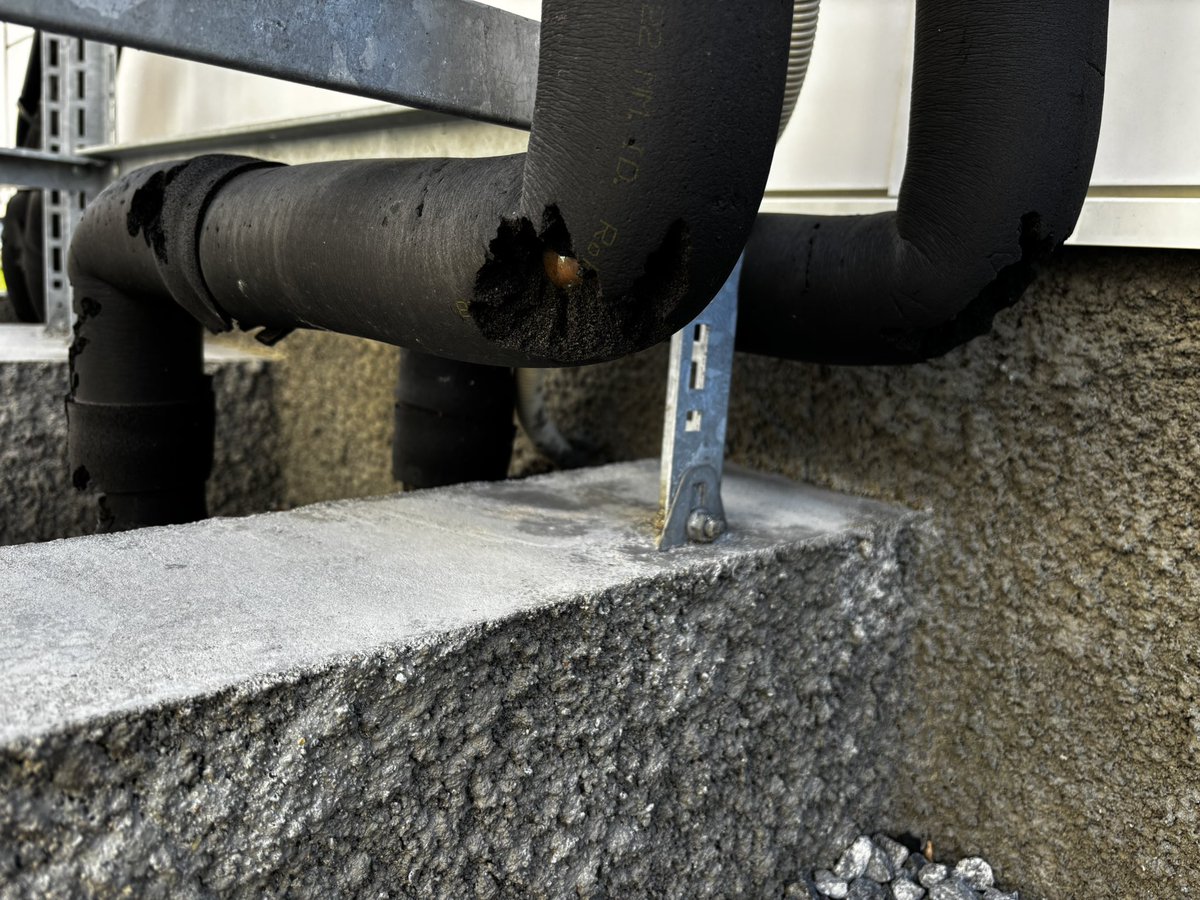 ひろ♪@禁酒中 tweet media