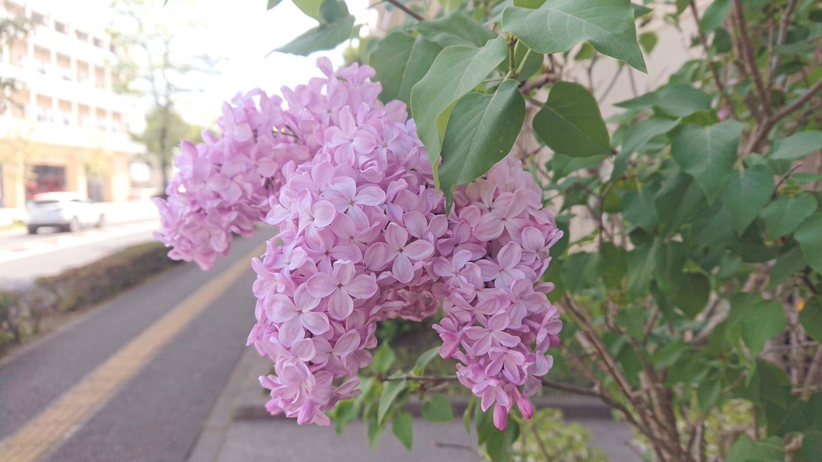 武蔵野ワークス tweet media