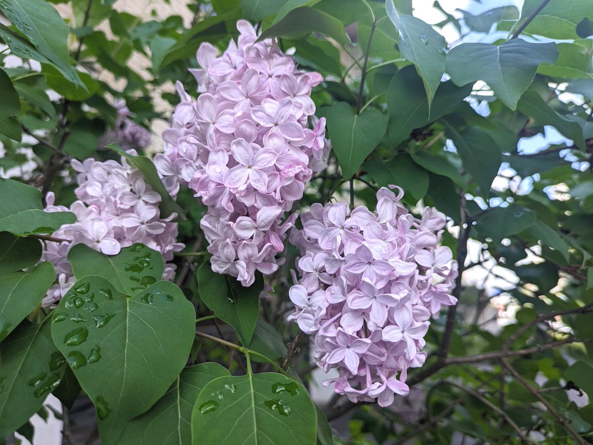 武蔵野ワークス tweet media