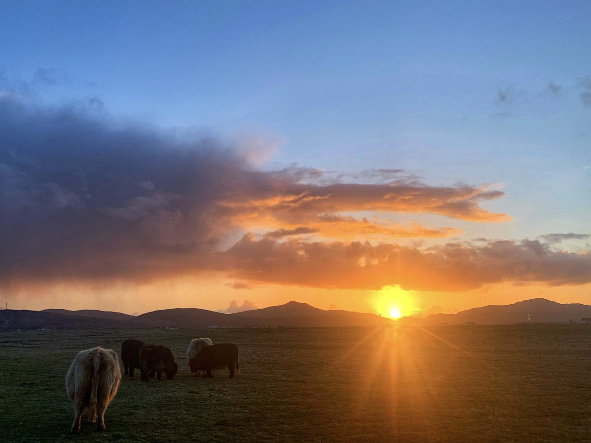 frenchscotjeff's tweet image. Grand Rising

Good Thursday lovely people in my phone.

#thursdayvibes #sunrise 
#spring #ThePhotoHour #GoodVibesOnly #StormHour #jefinuist #outerhebrides #Scotland