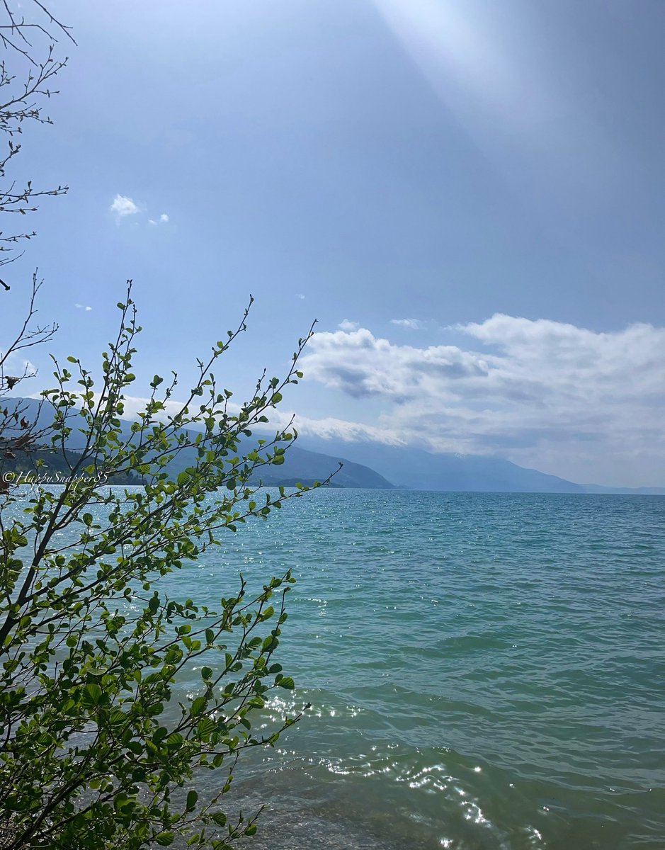 Good morning ☀️ Have a pleasant day, friends!