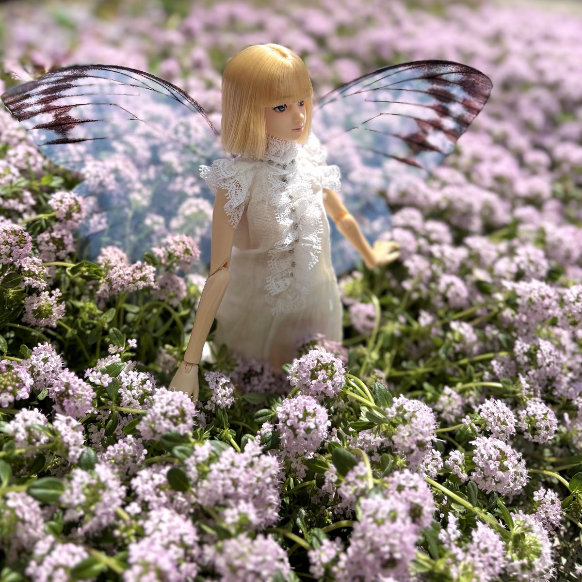 春の妖精
#ユノアクルスライト
#unoaqulutslight