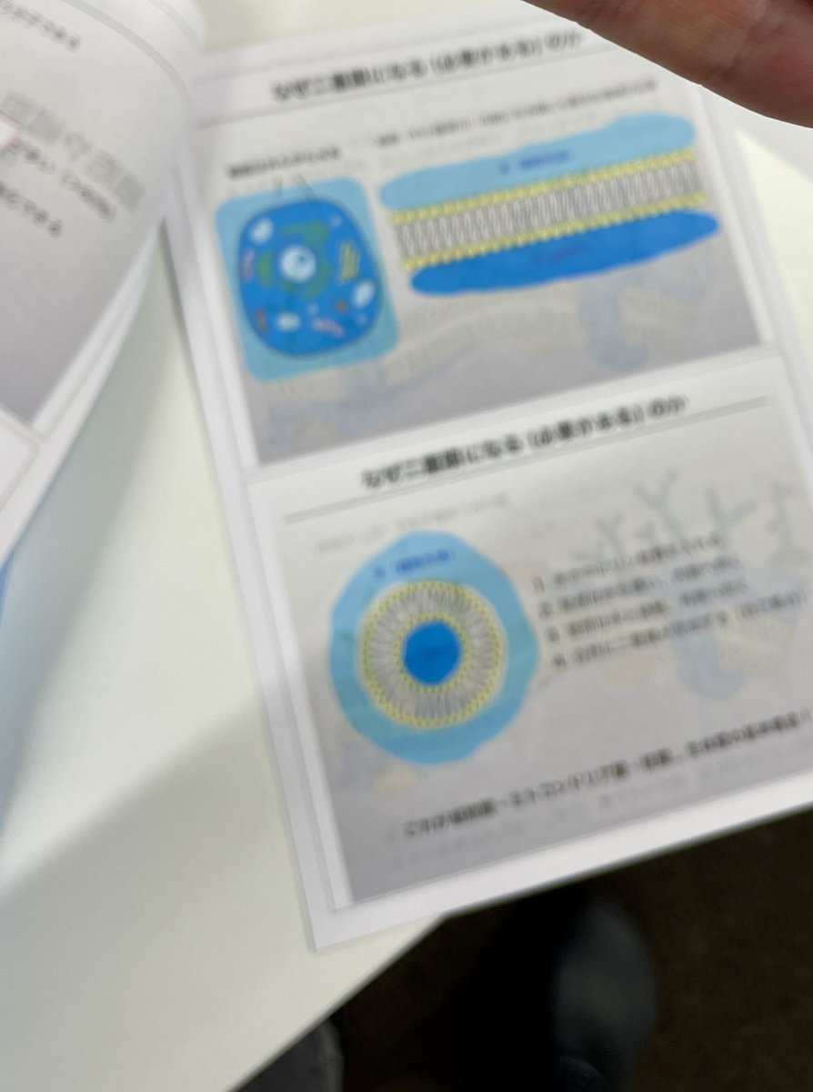 得津隆太郎 (R. Tokutsu)@北里大・生物機能開発学研究室 tweet media