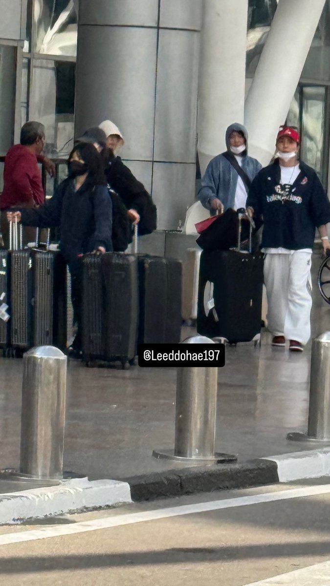 نيمورينو ALIVE# tweet media