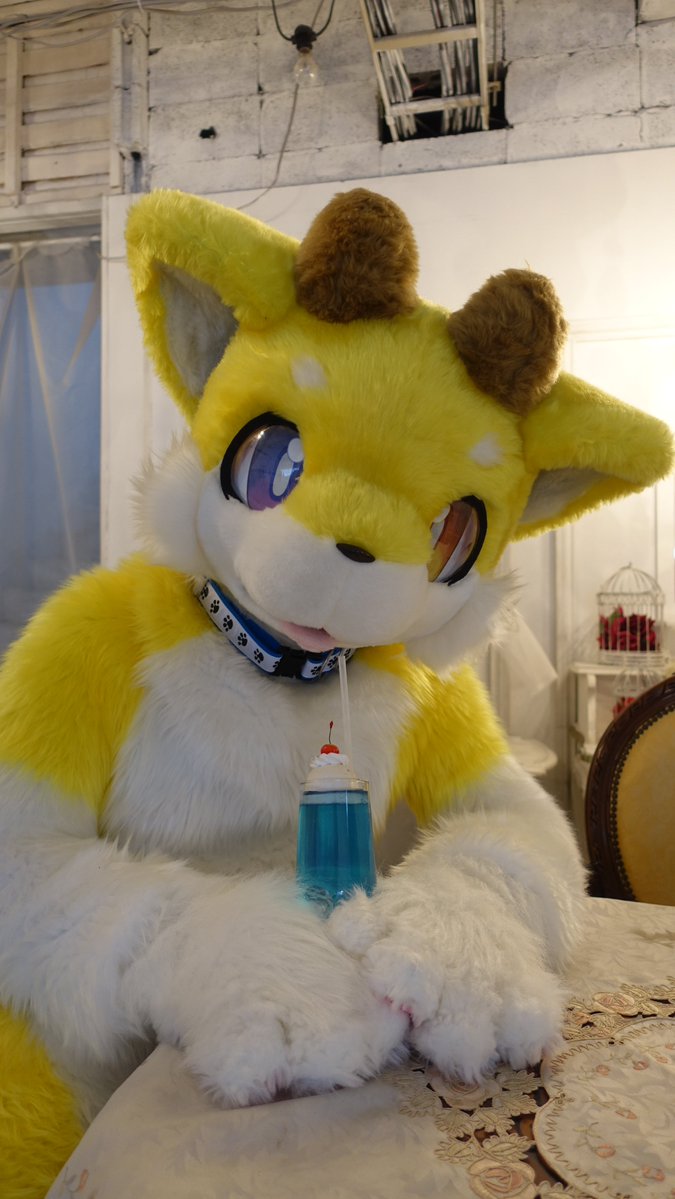 かめかめ tweet media