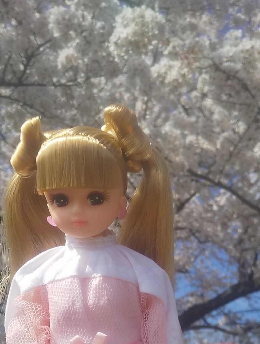 nuuko_doll's tweet photo. 春ですね🌸 https://t.co/bRuI50h709