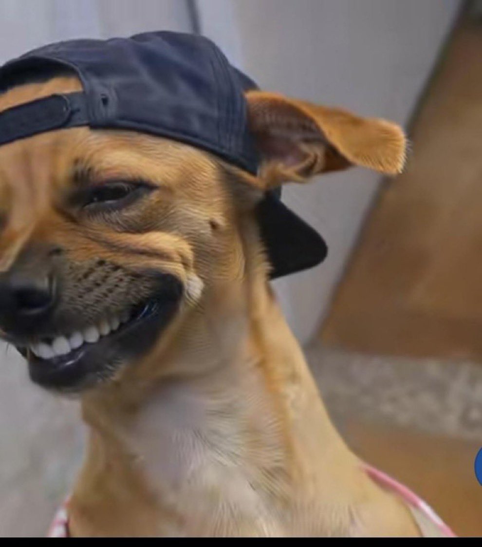 Donna Mugoh tweet media