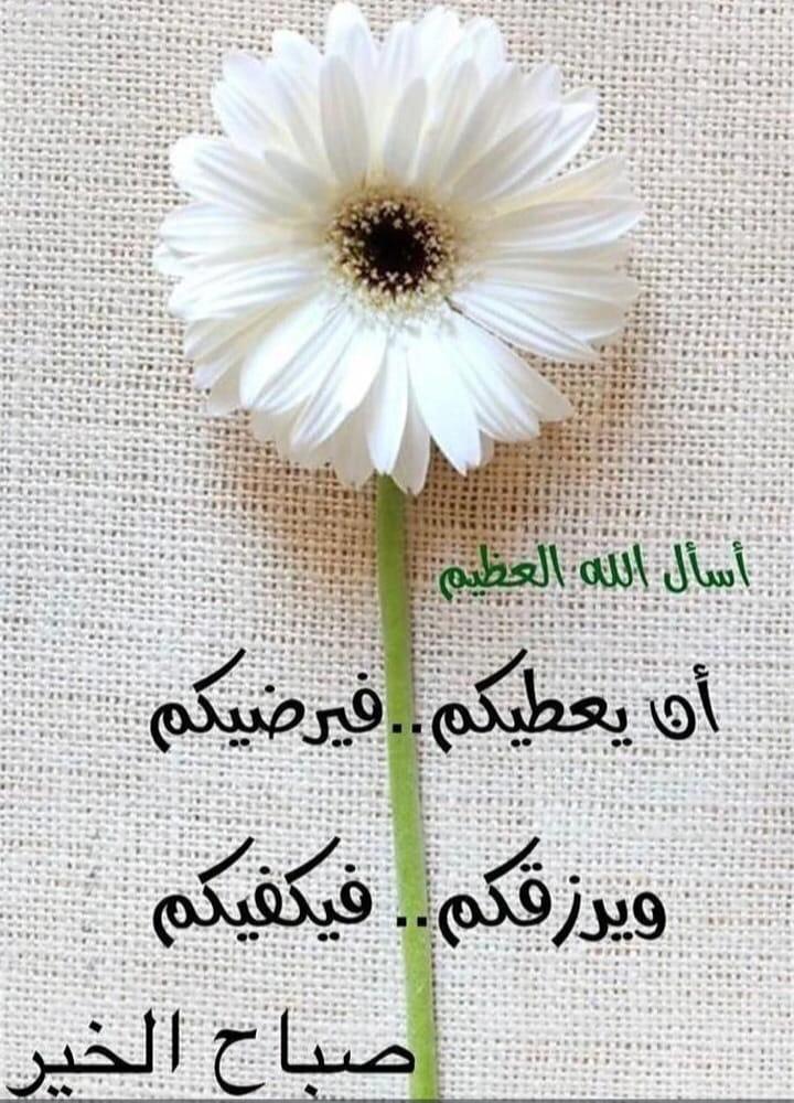 صباح الخيرات