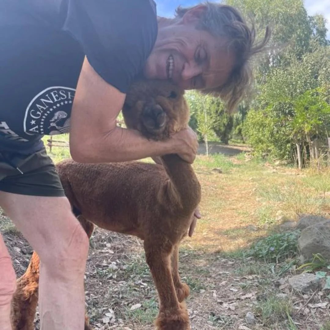 Willem Dafoe mantém uma fazenda para resgatar animais e dar a eles uma vida digna, sem exploração.