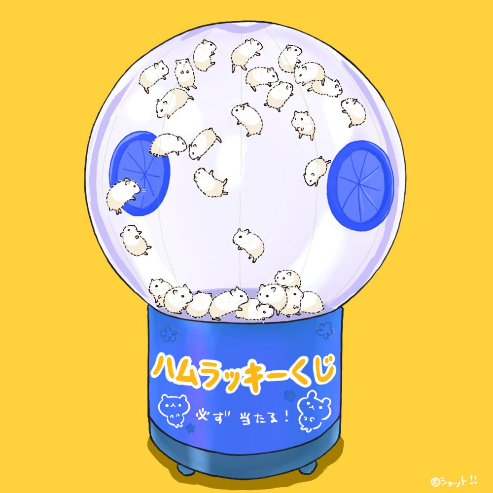 ｼｮｯﾄ‼︎ tweet media