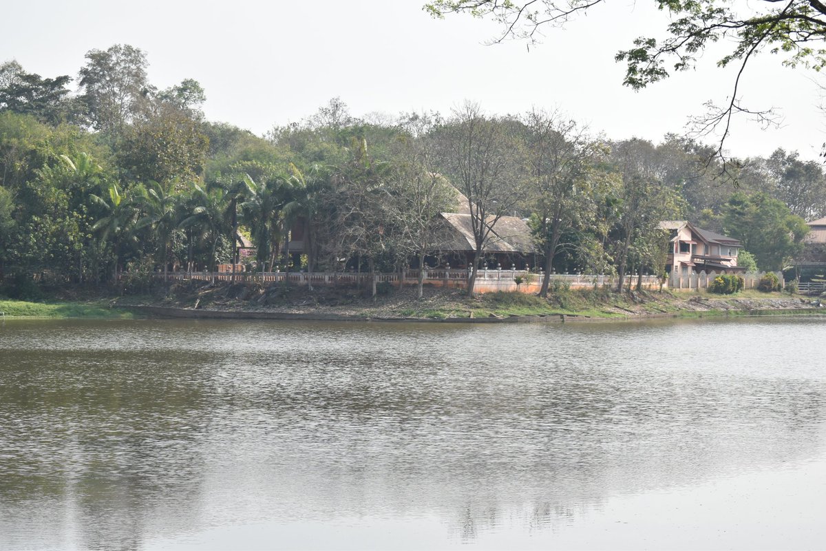 Cerberane's tweet image. More Lovely views from one of my morning #walks around Somdet Phra Srinakarindra Park in late February 
ภาพวิวสวยๆ จากการเดินเล่นยามเช้าของฉันรอบสวนสมเด็จพระศรีนครินทร์ ในช่วงปลายเดือนกุมภาพันธ์
#lake
#flowers
#trees
#nature
#naturelovers
#naturephotography