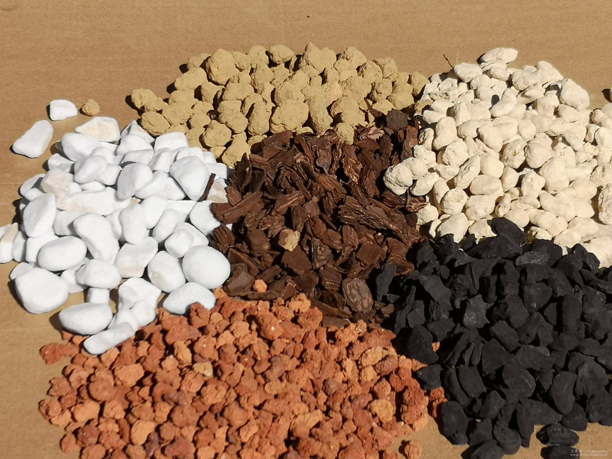 LucasTrelfa tweet media