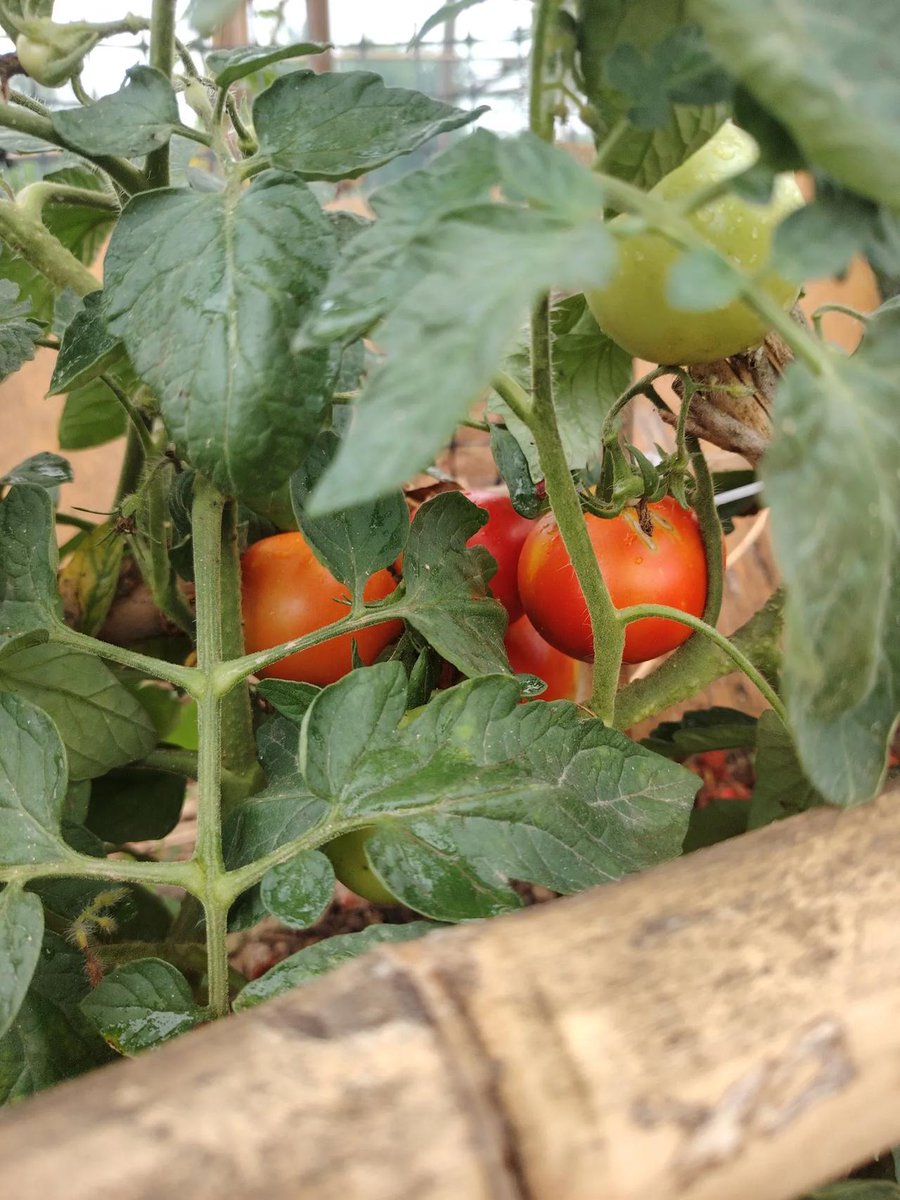 souvik banerjee tweet media