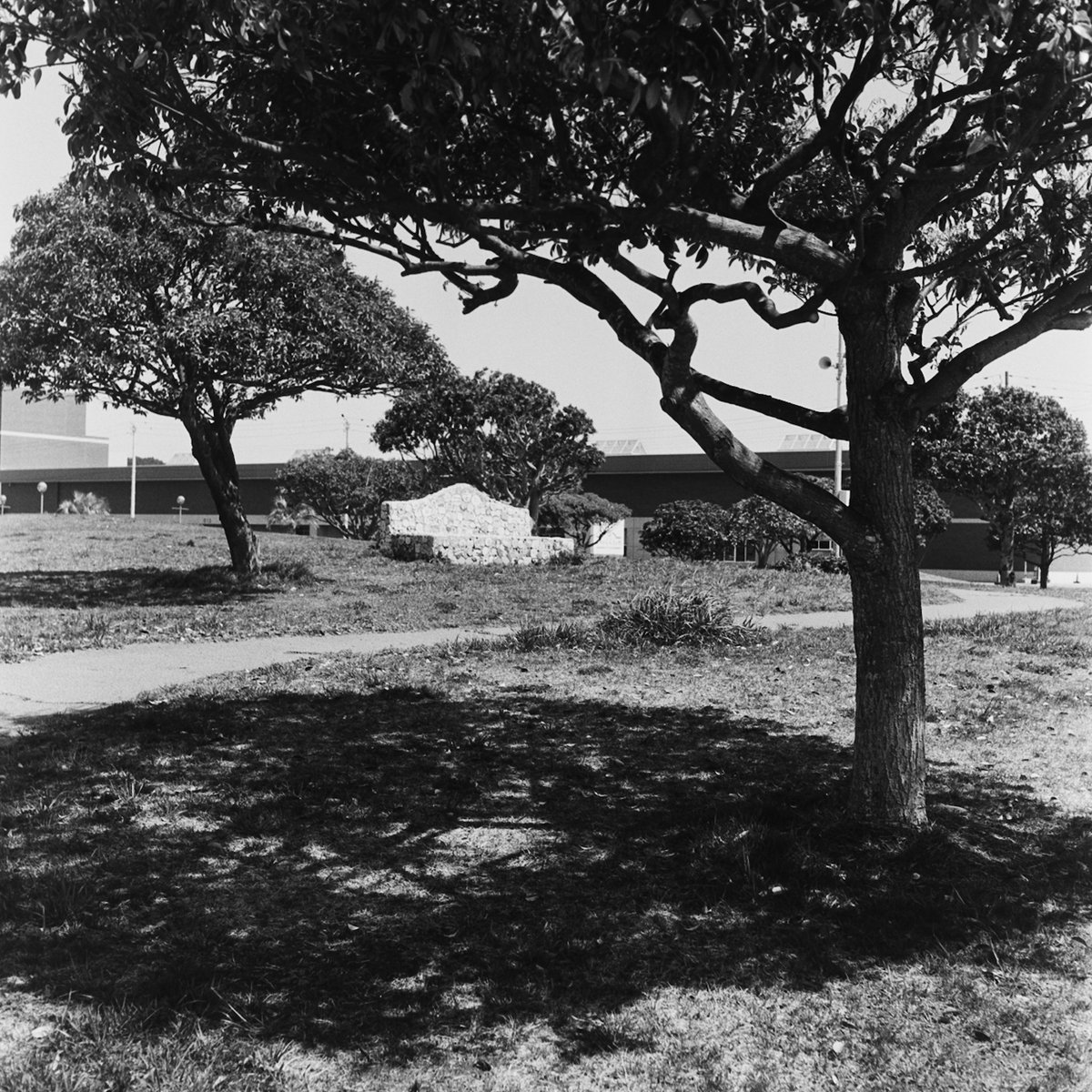 RolleiCordⅣ
CineStill Double-X
Kodak HC-110 1+31(B希釈)
23℃ 4'30(30/30/1)

スナップ

#MARIXフィルム
#フィルムカメラ