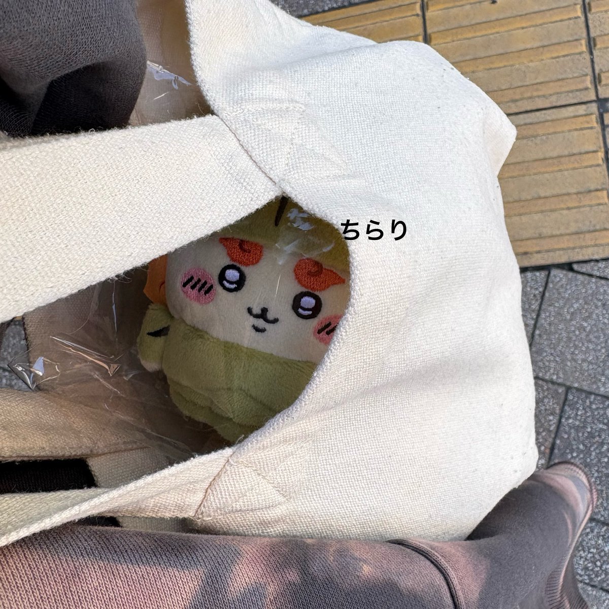 kazusa🐈🐾 tweet media