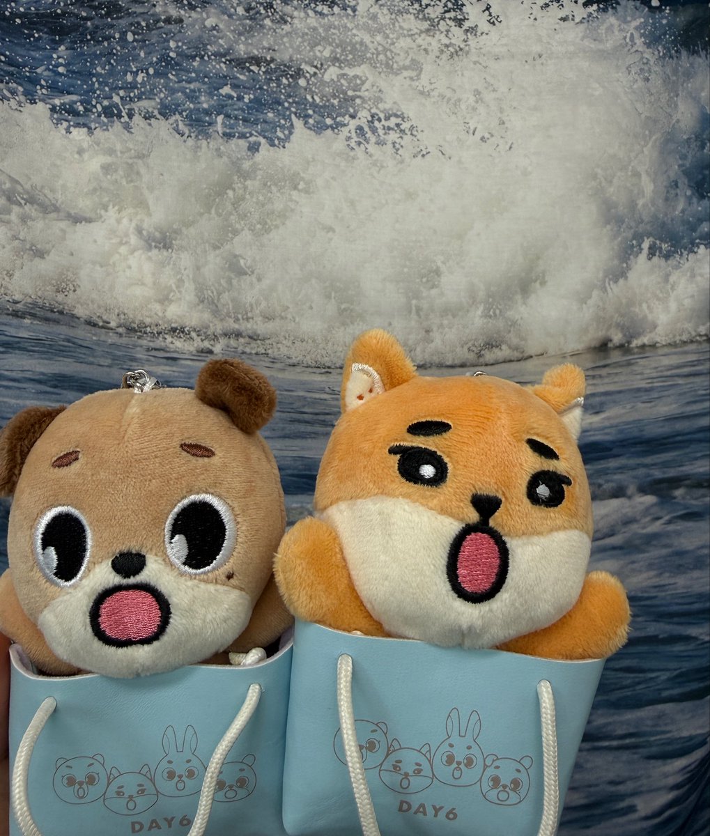 위스키 tweet media